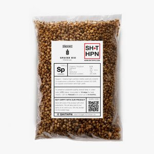 magic mushrooms grow kit