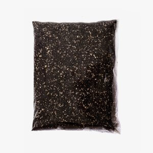 elphant manure magic mushrooms