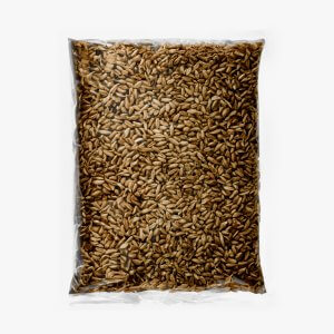 rye magic mushrooms substrate