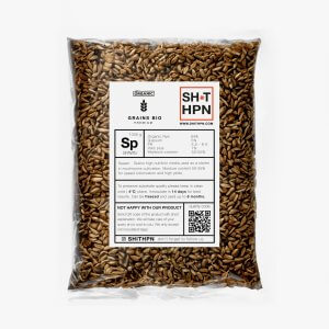 rye magic mushrooms substrate